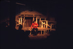 The Birds Production Photo by Providence College