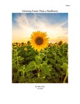 Growing Faster Than a Sunflower by Mike Foley