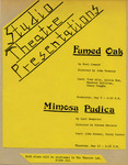 Studio Theatre Presentations: Fumed Oak & Mimosa Pudica