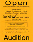 Seagull Open Auditions